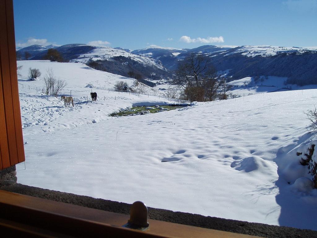 Saint-Martin-Valmeroux Domaine De La Chaux De Revel 게스트하우스 외부 사진
