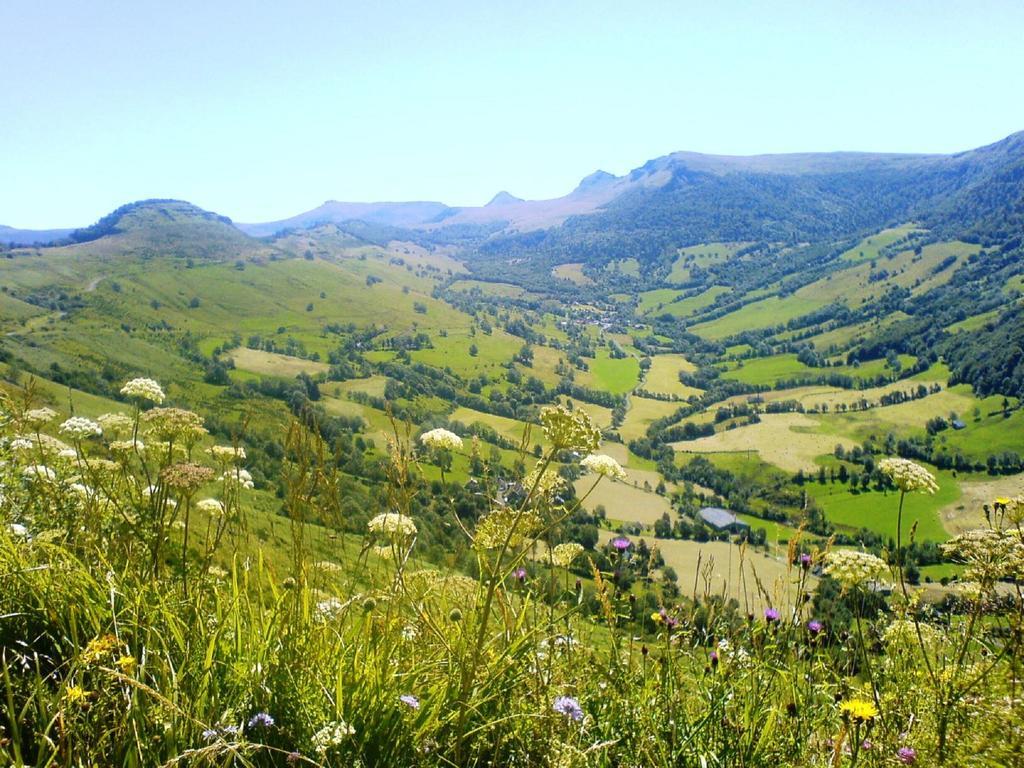 Saint-Martin-Valmeroux Domaine De La Chaux De Revel 게스트하우스 외부 사진